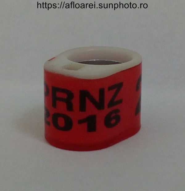 PRNZ 2016 - NEW ZEELAND