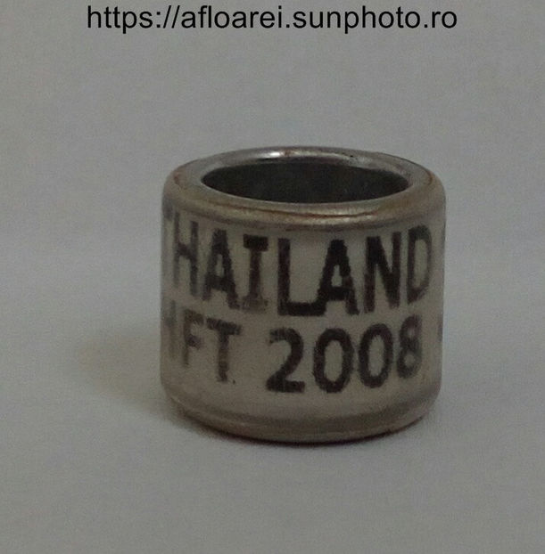 THAILAND HFT 2008 - THAILANDA