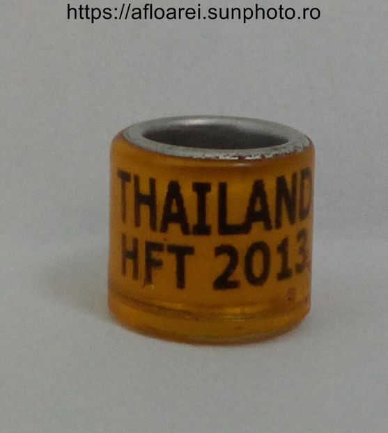 THAILAND HFT 2013 - THAILANDA