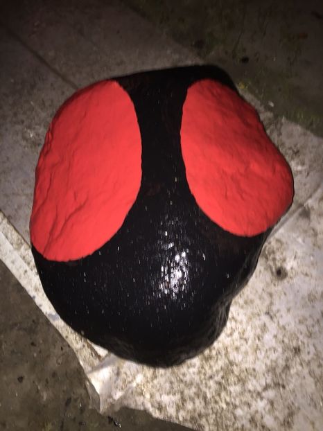 KQER2418 - Decor ptr gradină facute de mine