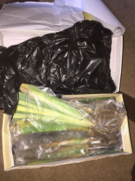 MXTM2630 - Achizitii FLORI 2018