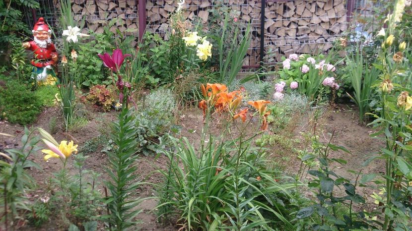  - 0 FLORI 2018 in gradina