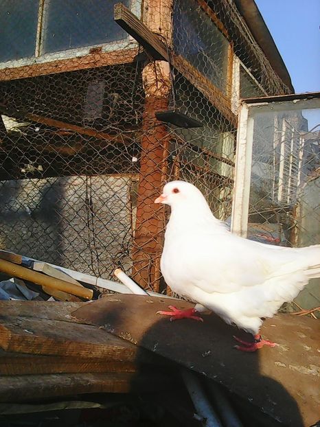 M 2016 120+TP - De Vanzare