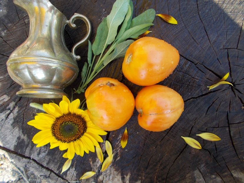  - SEMINTE ROSII - COEUR DE BEUF ORANGE