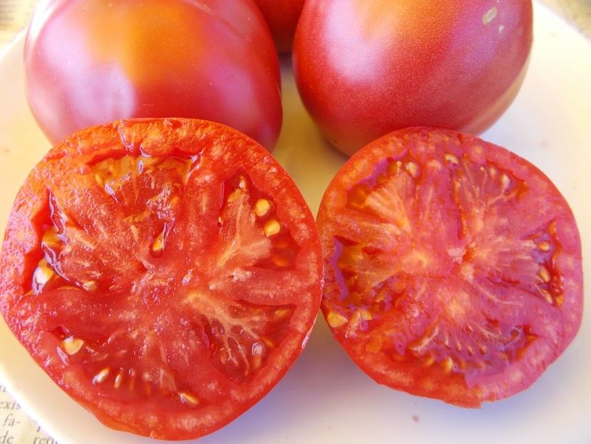 107763931_FWUHQOA3 - SEMINTE ROSII - MONARCH