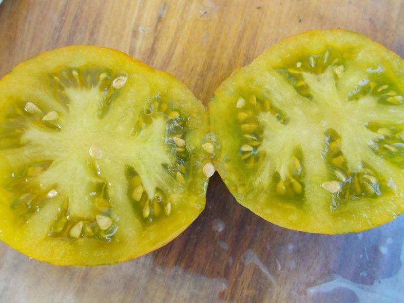  - SEMINTE ROSII - ZEBRA GREEN STRIPE