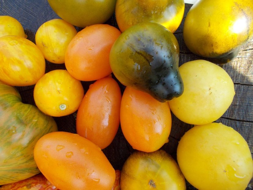  - DE PRIN LUME ADUNATE