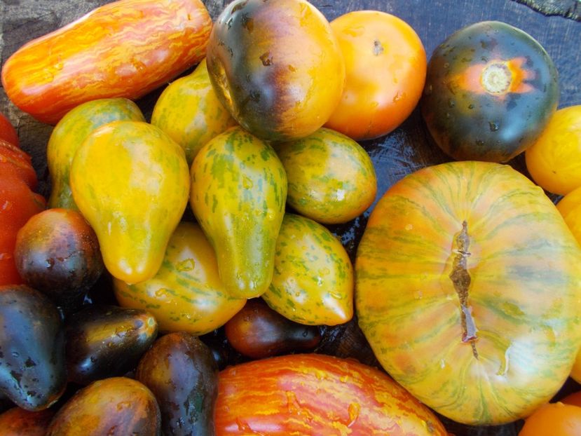  - DE PRIN LUME ADUNATE