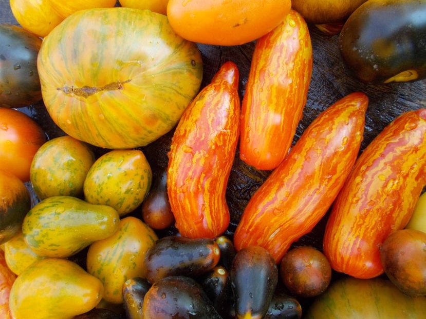  - DE PRIN LUME ADUNATE