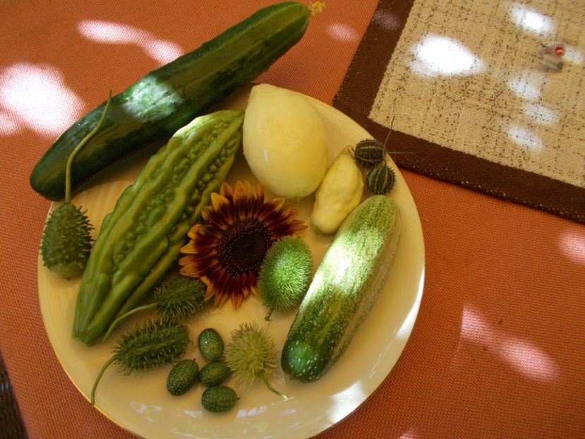  - DE PRIN LUME ADUNATE