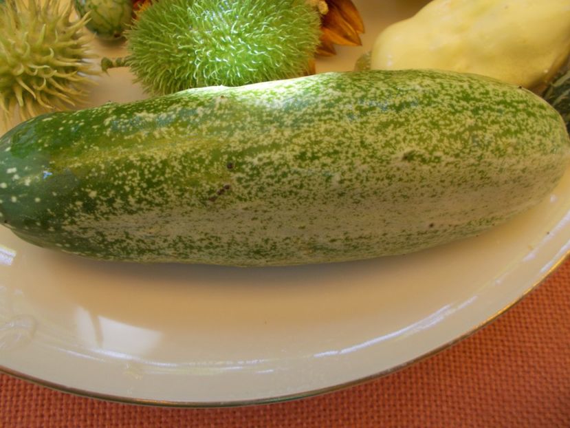  - DE PRIN LUME ADUNATE