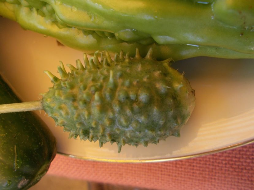  - DE PRIN LUME ADUNATE