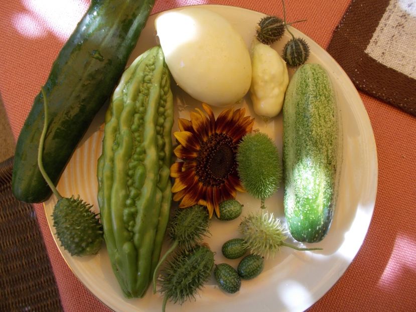  - DE PRIN LUME ADUNATE