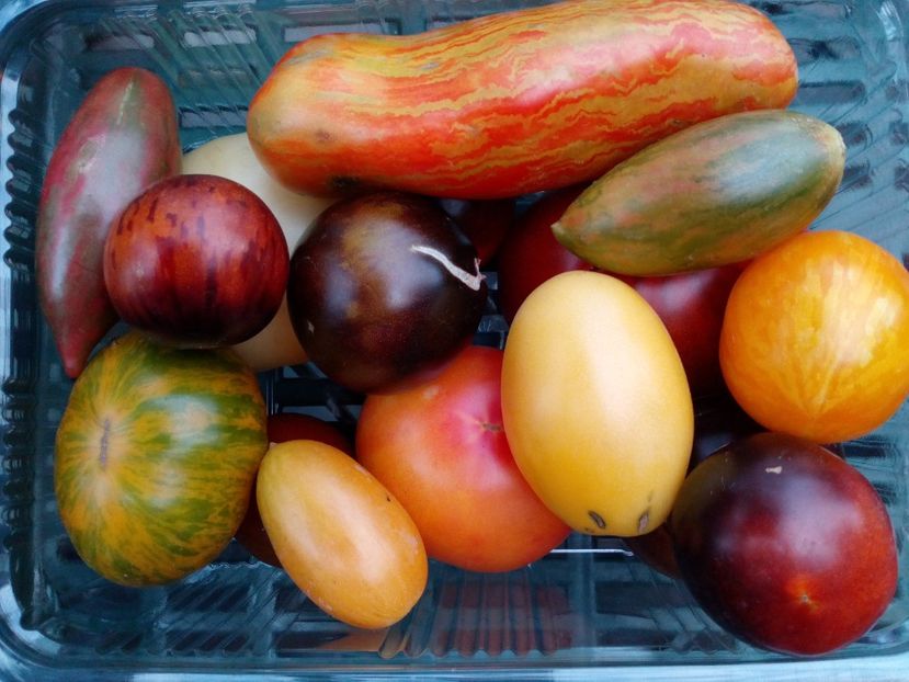  - DE PRIN LUME ADUNATE