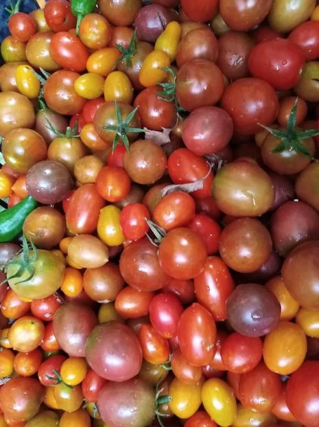 media_upload2_1534400537699 - DE PRIN LUME ADUNATE