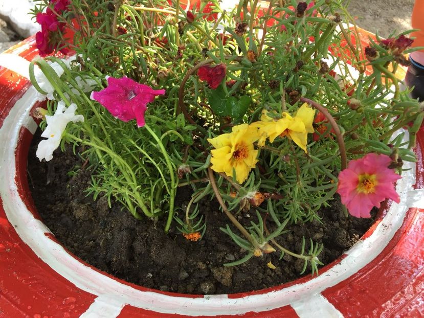 AKWN4915 - Decor ptr gradină facute de mine