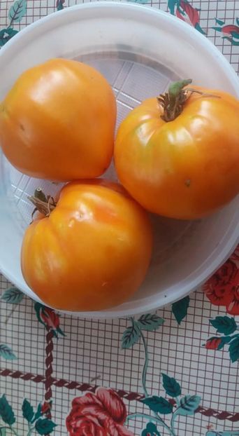  - A-A Gradina de legume 2018