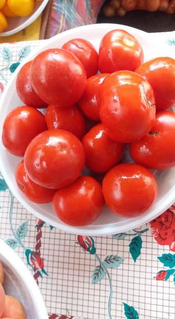 zarianka - A-A Gradina de legume 2018