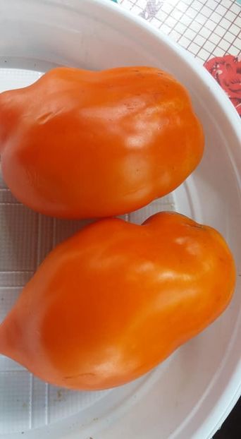 babana orange - A-A Gradina de legume 2018