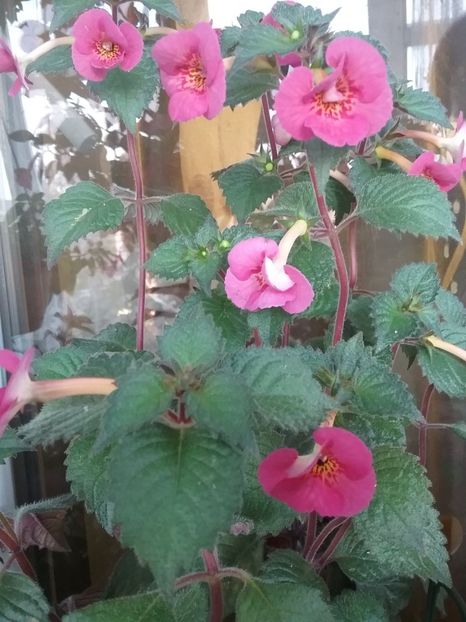  - Hard To Get-pierdut