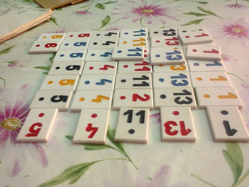 Fotografie4162 - 2018 CAMPIONATUL DE CANASTĂ DE VARĂ INTERFAMILIAR