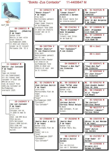 Pedigree. - Achizitii - 2018 - matca