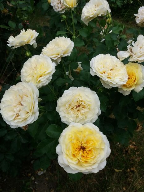  - The sun and the heat