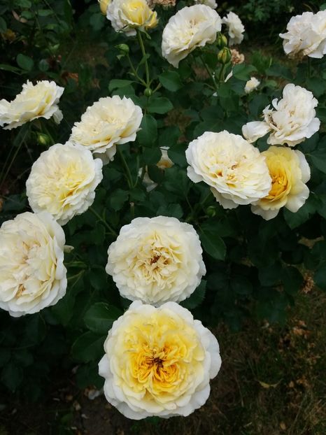  - The sun and the heat