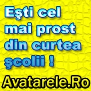 www_avatarele_ro__1196693197_661821 - Avatare cu texte