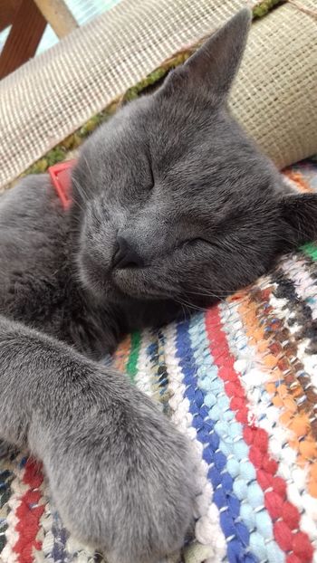 a6f9b2bd-7005-47b7-8949-80a6413b12f5 - Contact