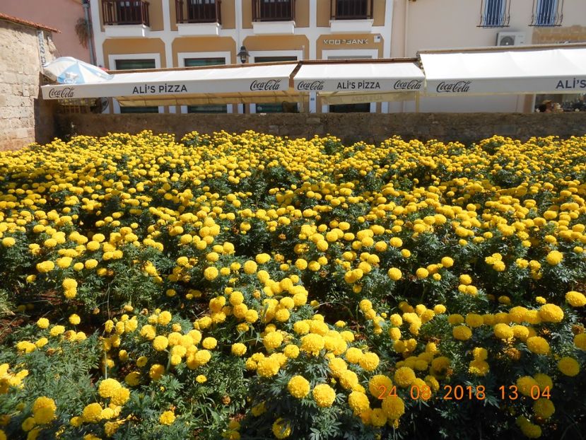 cipru_2018_ 149 - 2018 - Cipru de Nord - Kyrenia