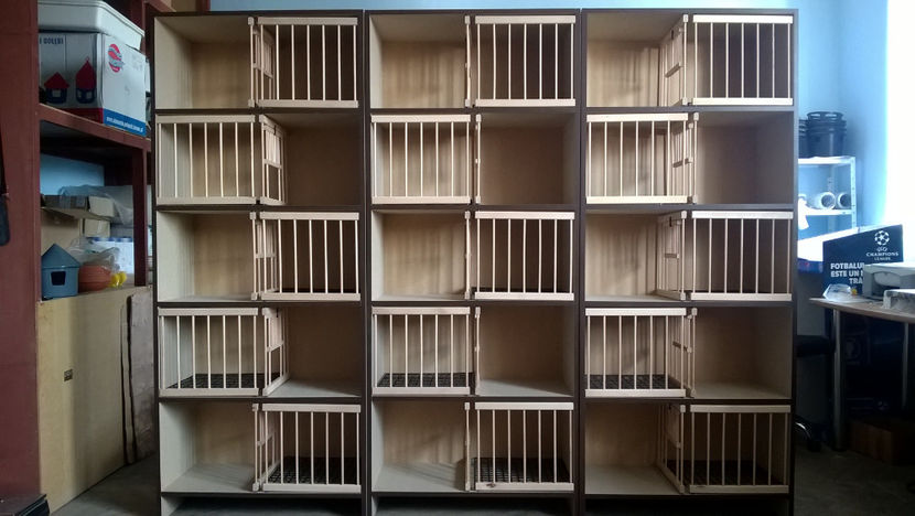 Rafturi pentru Sorin Stefan Floricel - RAFT VADUVIE - 325 lei