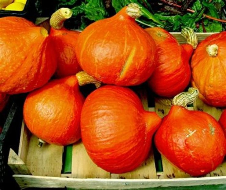 hokaido - Diverse 3 - Diverse