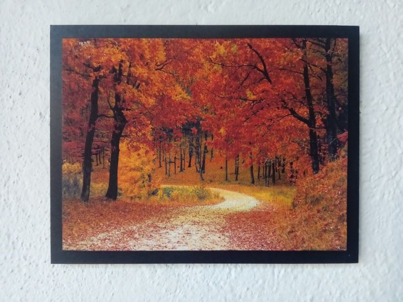 59 - Tablouri- peisaje