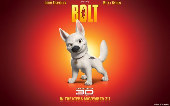 bolt