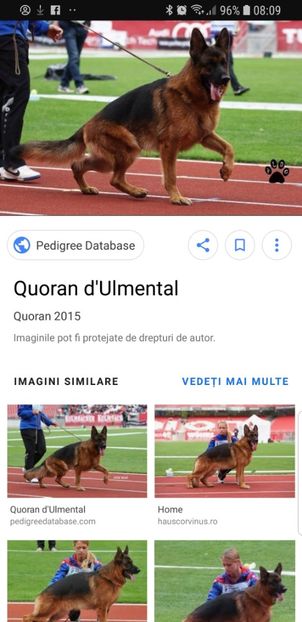 Quoran D'Ulmental - 2017