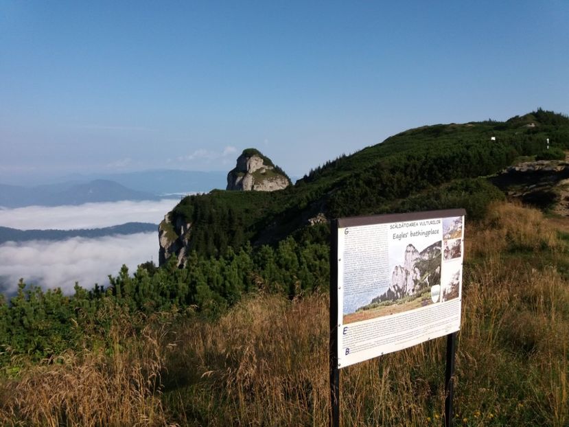 Scaldatoarea Vulturilor - Munții Ceahlău-august 2018