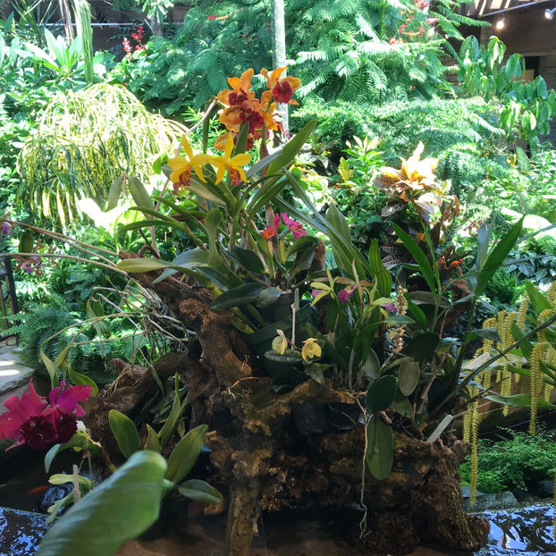  - Floral Showhouse