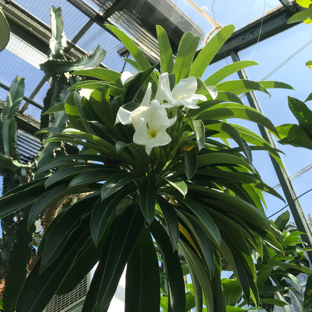  - Floral Showhouse