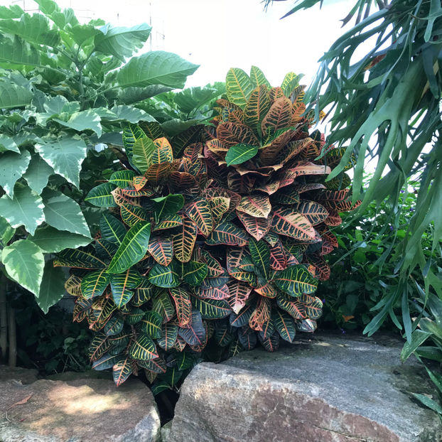  - Butterfly Conservatory