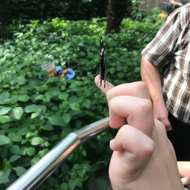  - Butterfly Conservatory