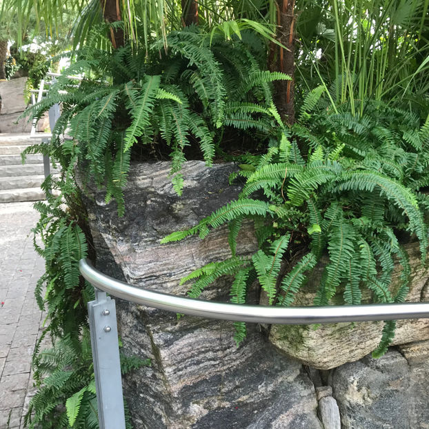  - Butterfly Conservatory