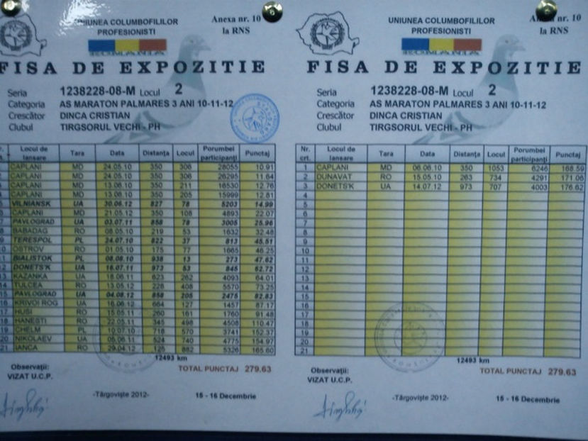 123530_orig - 1238228-08 DINCA CRISTIAN