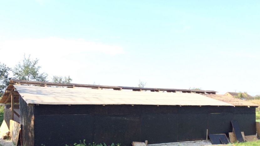 BE4B25A1-FC22-484A-81F0-FF8E3A9ABC81 - Ferma wyandotte coteț pentru gaini