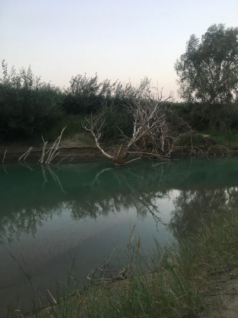 02-09-2018 Putna - 11-Alt hobby