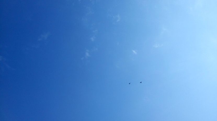  - antrenament de 3 ori pe saptamana