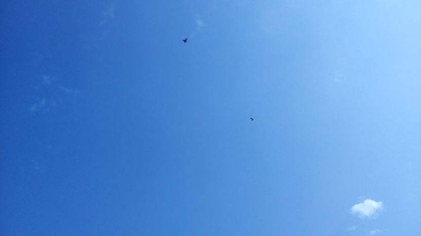  - antrenament de 3 ori pe saptamana