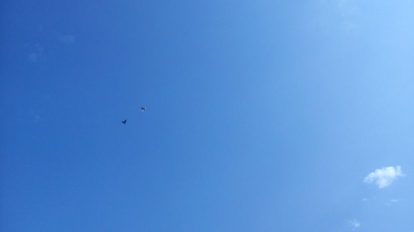  - antrenament de 3 ori pe saptamana