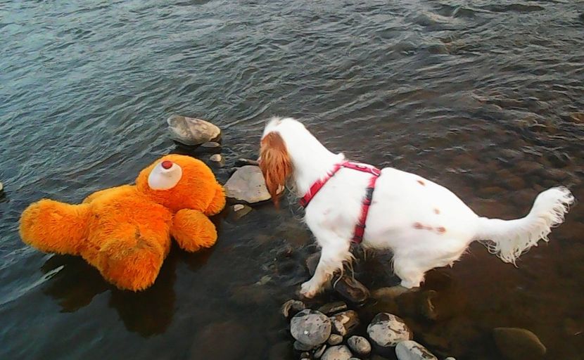 Nuovo_1_Photo9279 - Mimi