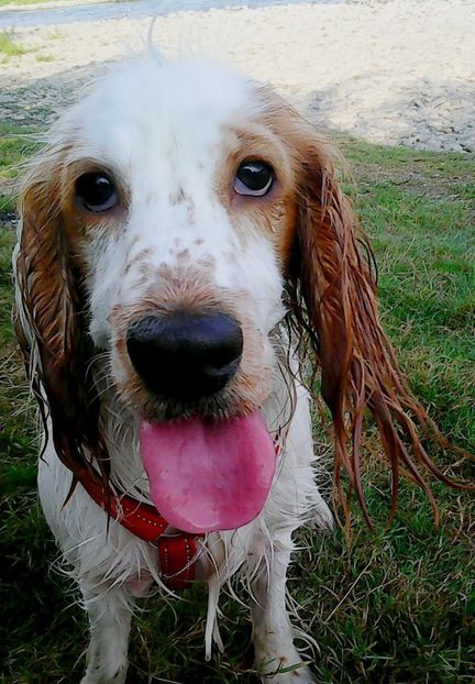 Nuovo_1_Photo9316 - Mimi